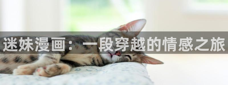 新新漫界：迷妹漫画：一段穿越的情感之旅