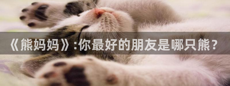 新新漫画网官网：《熊妈妈》:你最好的朋友是哪只熊？