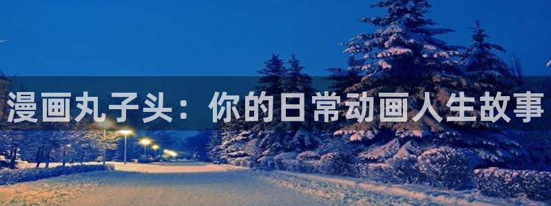 新新漫画官网下载：漫画丸子头：你的日常动画人生故事