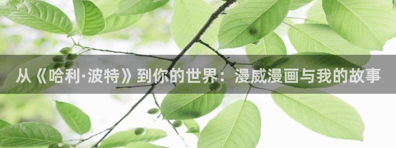 没有钱新新漫画